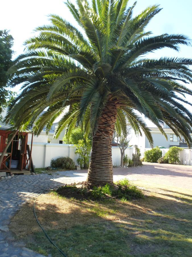 Cape Town Milnerton Lagoon Villa Exterior foto